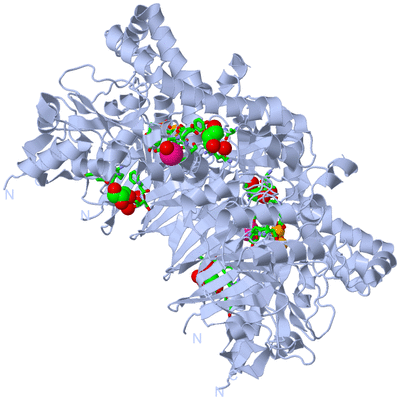 Image Biol. Unit 1 - sites