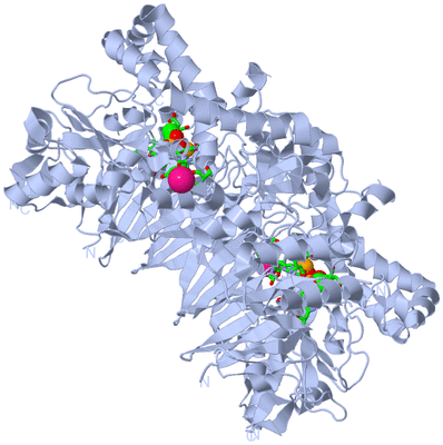 Image Biol. Unit 1 - sites