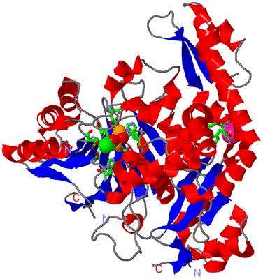 Image Asym. Unit - sites