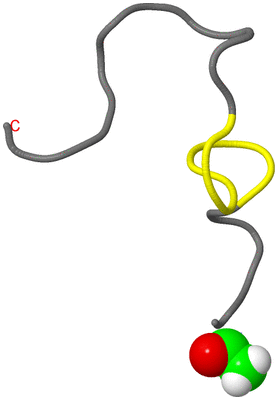 Image NMR Structure - model 1