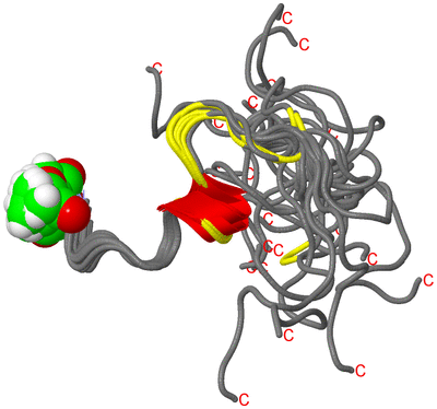 Image NMR Structure - all models