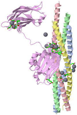 Image Biol. Unit 1 - sites