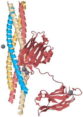 Image Biological Unit 3