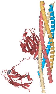 Image Biological Unit 3