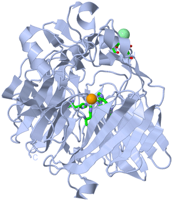 Image Biol. Unit 1 - sites