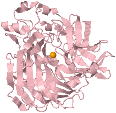 Image Biological Unit 3