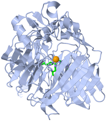 Image Biol. Unit 1 - sites