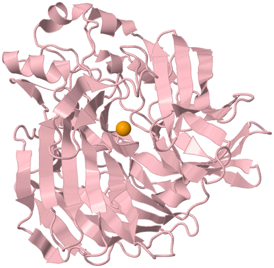 Image Biological Unit 3