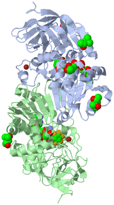 Image Asym./Biol. Unit