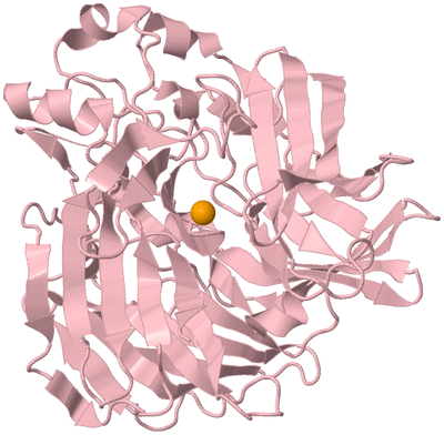 Image Biological Unit 3