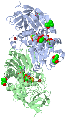 Image Asym./Biol. Unit