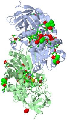 Image Asym./Biol. Unit - sites