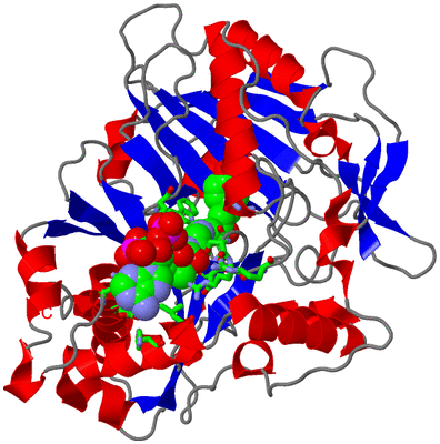 Image Asym./Biol. Unit - sites