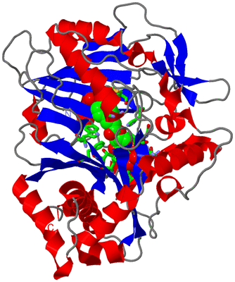Image Asym./Biol. Unit - sites