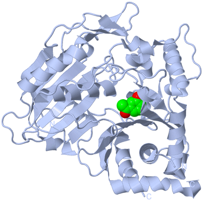 Image Biological Unit 1