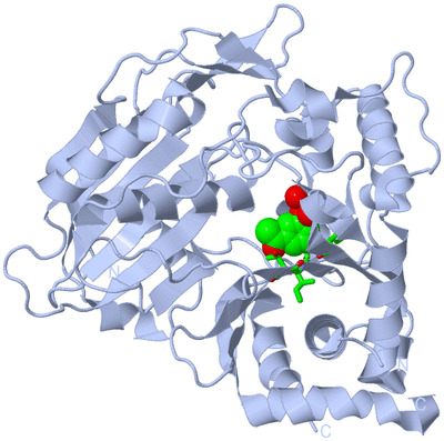 Image Biol. Unit 1 - sites