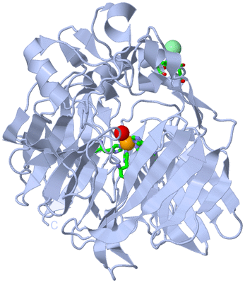 Image Biol. Unit 1 - sites