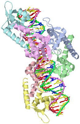 Image Asym./Biol. Unit