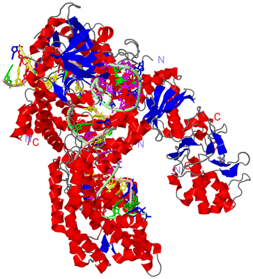 Image Asym./Biol. Unit