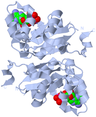 Image Biological Unit 1