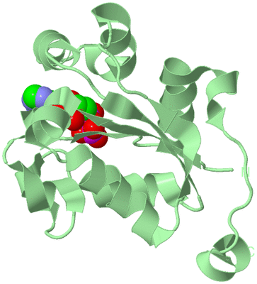 Image Biological Unit 2