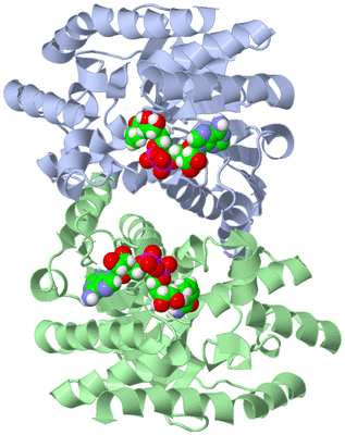 Image Asym./Biol. Unit