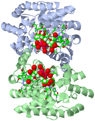 Image Asym./Biol. Unit - sites