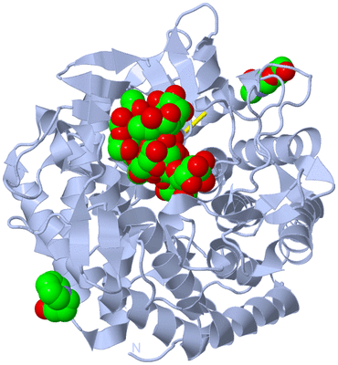 Image Biological Unit 1