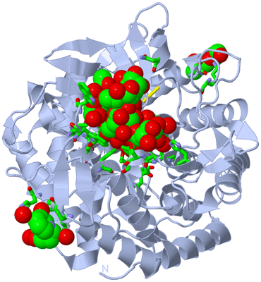 Image Biol. Unit 1 - sites