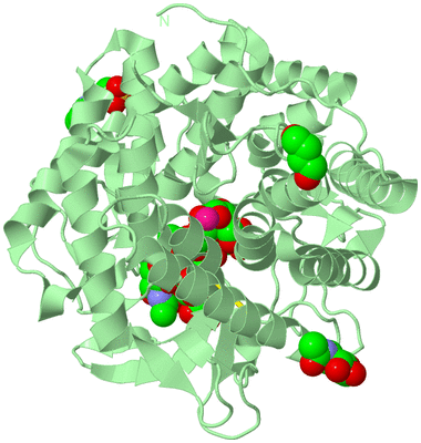 Image Biological Unit 2