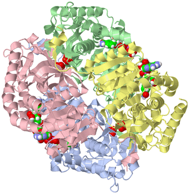 Image Asym./Biol. Unit