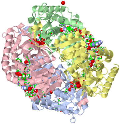 Image Asym./Biol. Unit - sites