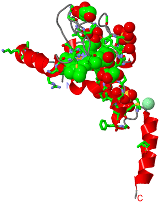 Image Asym. Unit - sites