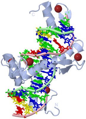 Image Biological Unit 1