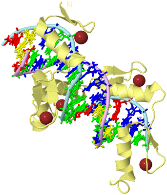 Image Biological Unit 2