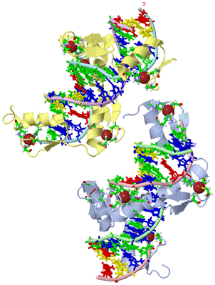 Image Asym. Unit - sites