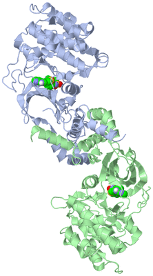 Image Asym./Biol. Unit