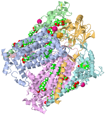 Image Biological Unit 1