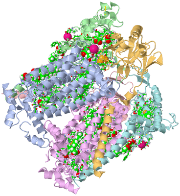 Image Biol. Unit 1 - sites