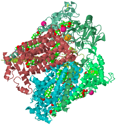 Image Biological Unit 2