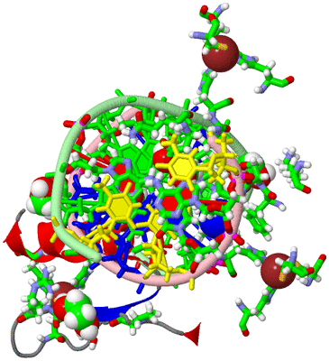 Image Asym./Biol. Unit - sites