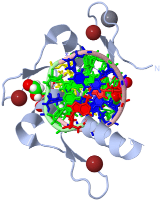 Image Biological Unit 1