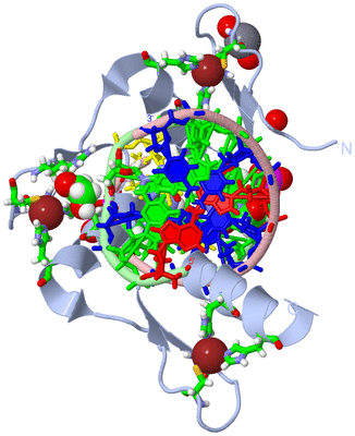 Image Biol. Unit 1 - sites