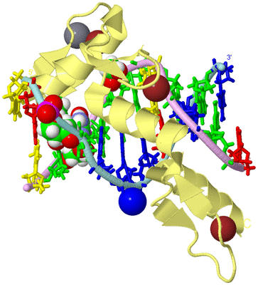 Image Biological Unit 2