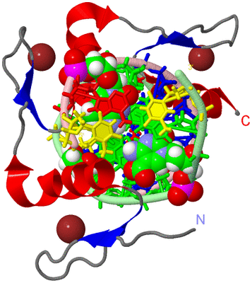 Image Asym./Biol. Unit