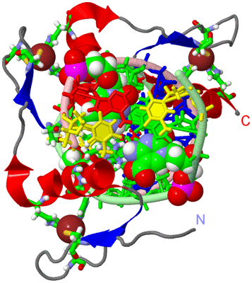 Image Asym./Biol. Unit - sites