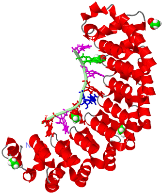 Image Asym./Biol. Unit