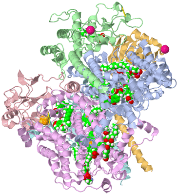 Image Biological Unit 1