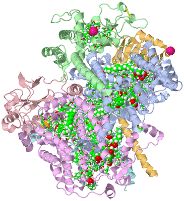 Image Biol. Unit 1 - sites