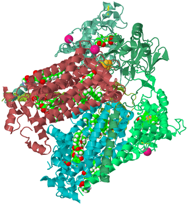 Image Biological Unit 2